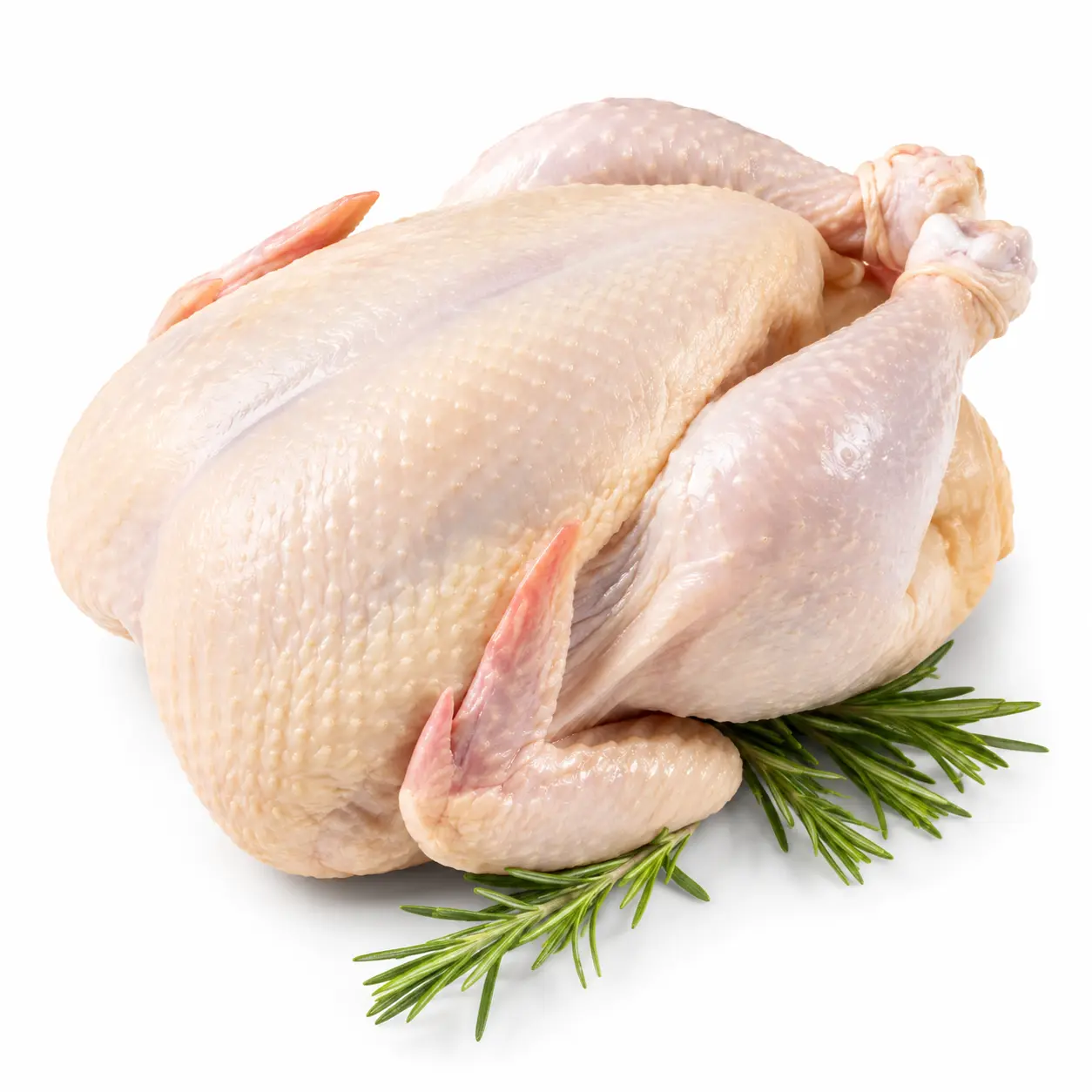 Ayam broiler utuh